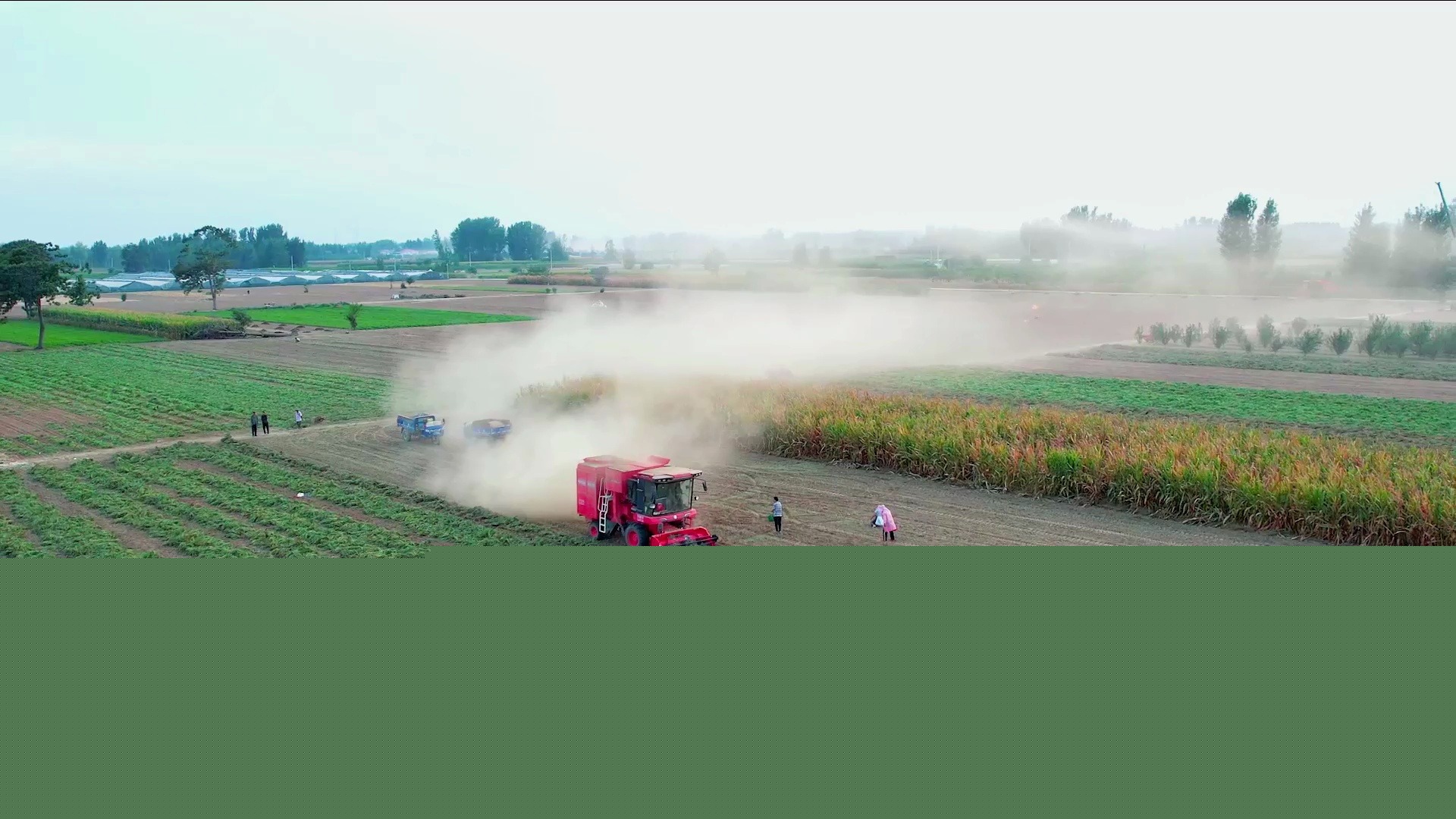 中聯收獲H3花生機 作業視頻
