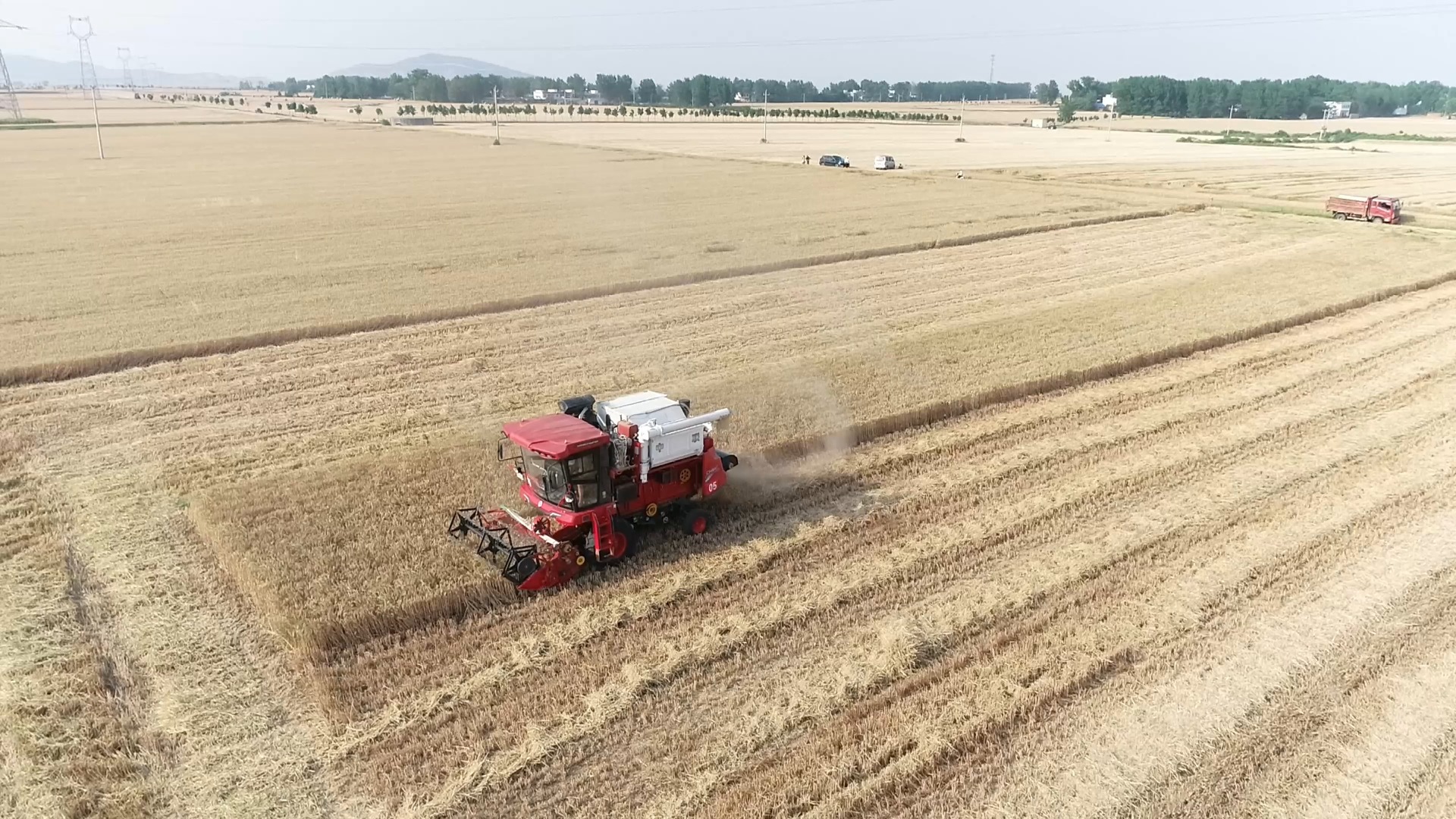 聯(lián)合收割機 中聯(lián)收獲新疆AT100 作業(yè)視頻