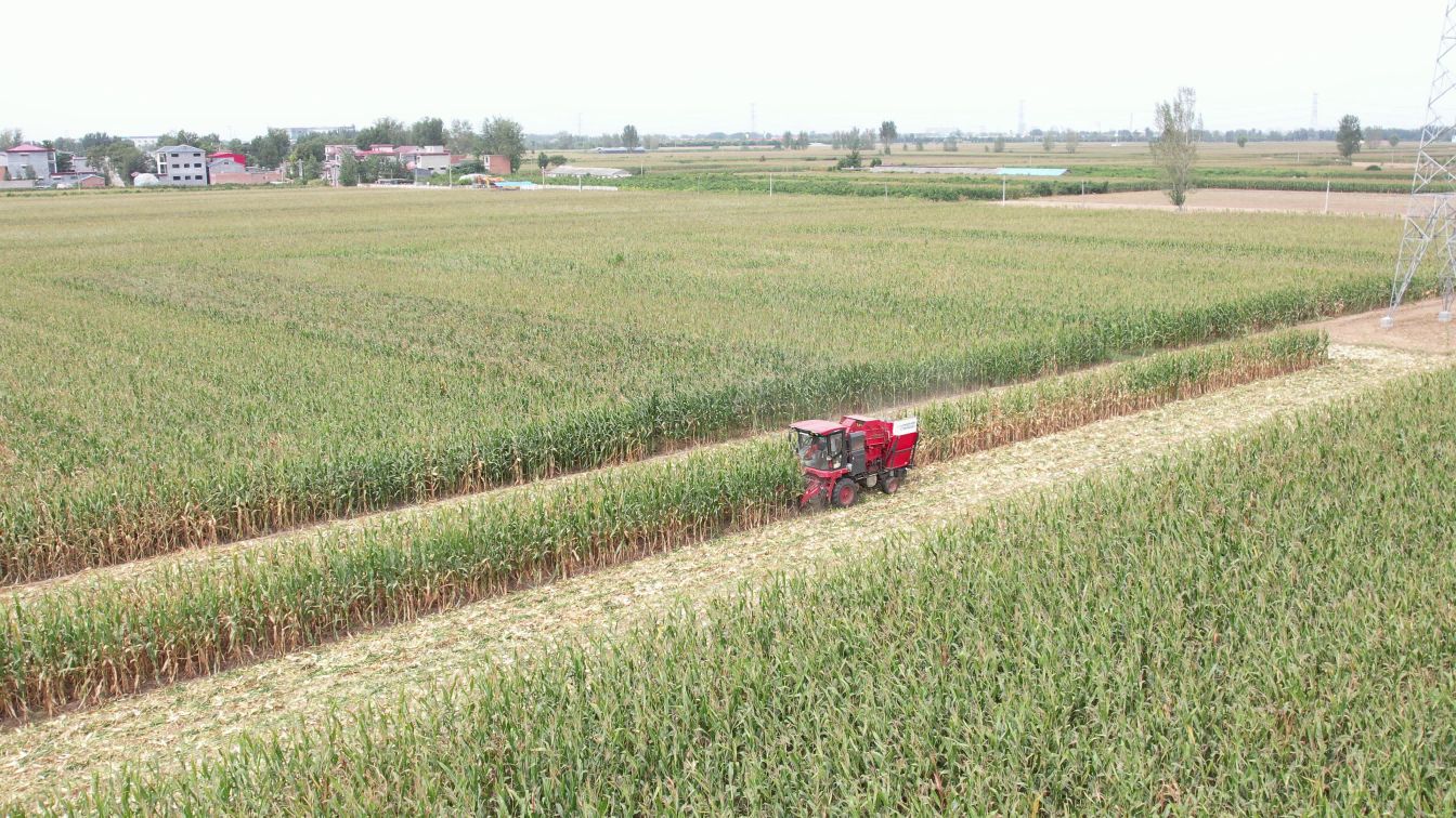 玉米機 中聯(lián)收獲3W玉米收割機 作業(yè)視頻