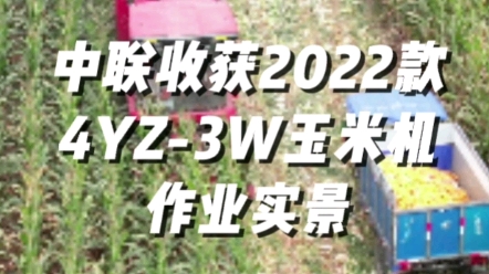 中聯(lián)收獲2022款4YZ-3W玉米收獲機(jī)作業(yè)實(shí)景