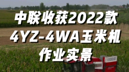 中聯(lián)收獲2022款4YZ-4WA玉米收獲機(jī)作業(yè)實(shí)景