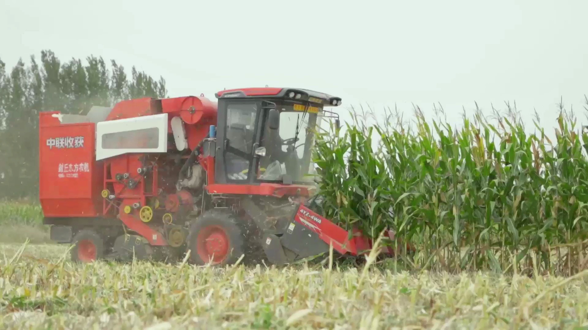 中聯(lián)收獲玉米機 4WA 作業(yè)視頻展示