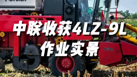 中聯(lián)收獲新疆9L（4LZ-9L）作業(yè)實(shí)景